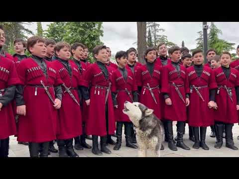 ანსამბლი მართვე და ჰასკი ასრულებენ “ქართველო ხელი ხმალს იკარ” Ansamble « Martve » and the dog.